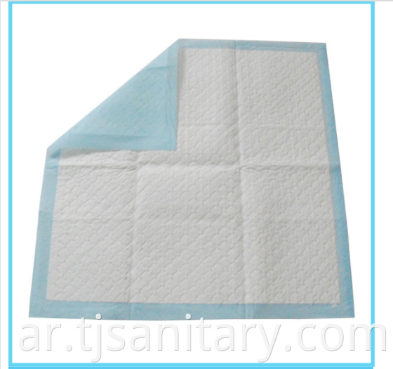 pet pad blue